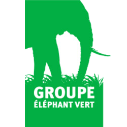 Elephant Vert