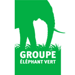 elephant-vert-250
